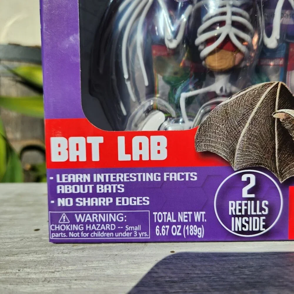 NEW Dissect-it Synthetic Lab Dissection Toy STEM KIT CRAFT Project Bat Biology A